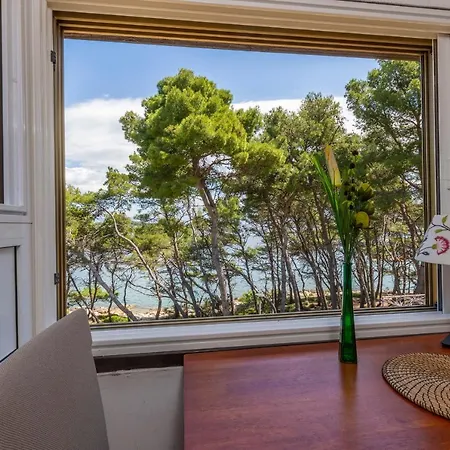 Janus Jelsa (Hvar)