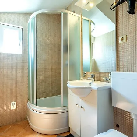 Janus