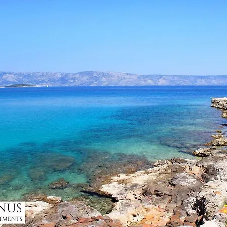 Janus * Jelsa (Hvar)