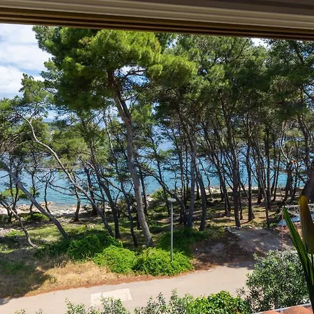 Janus * Jelsa (Hvar)