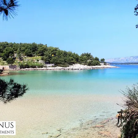 Janus * Jelsa (Hvar)