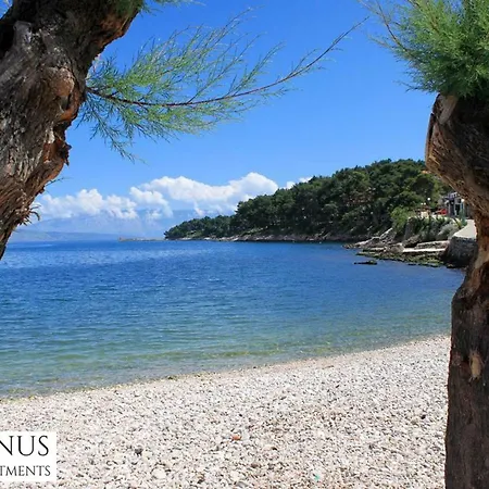 Janus * Jelsa (Hvar)