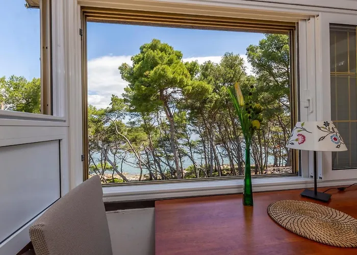 Janus Jelsa (Hvar)