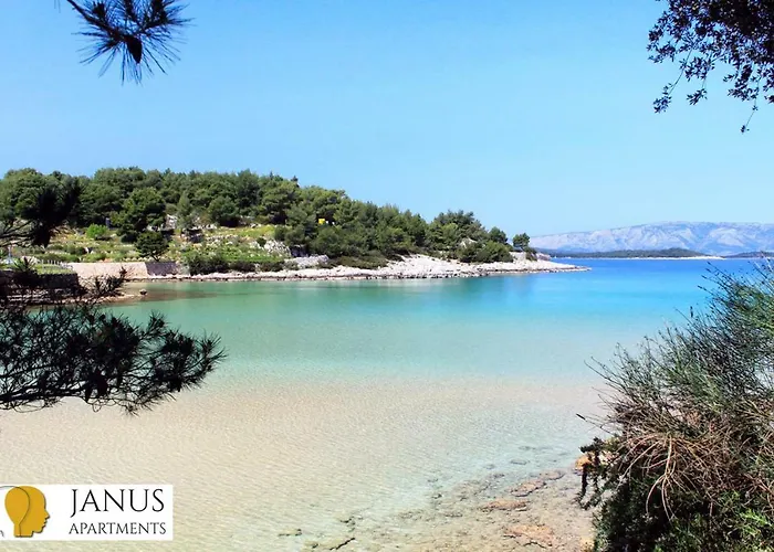 Janus * Jelsa (Hvar)