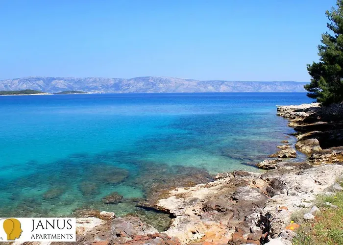 Janus * Jelsa (Hvar)