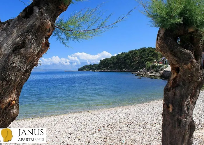 Janus * Jelsa (Hvar)