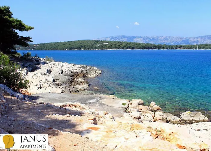 Apartman Janus Jelsa (Hvar)