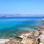 Janus * Jelsa (Hvar)